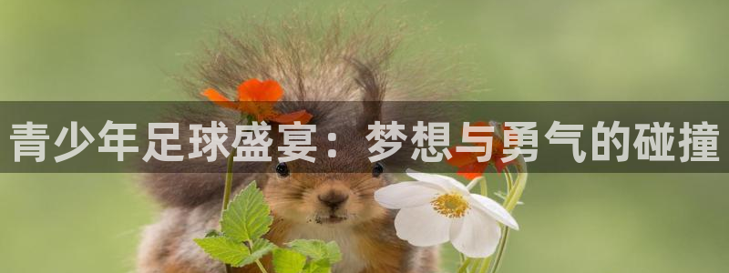 青少年足球盛宴：梦想与勇气的碰撞