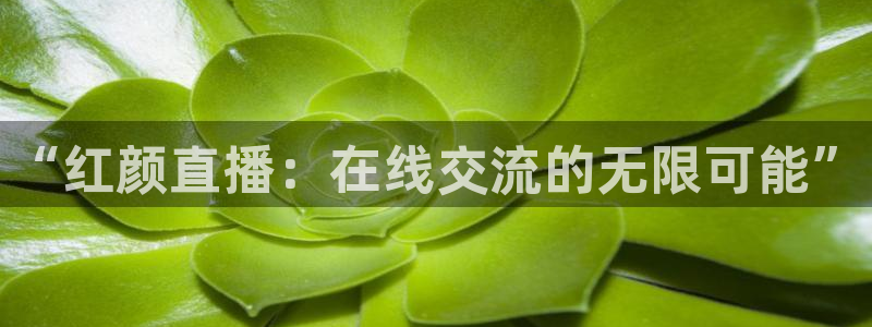 9255tv直播无插件nba：“红颜直播：在线交流的无限可能”