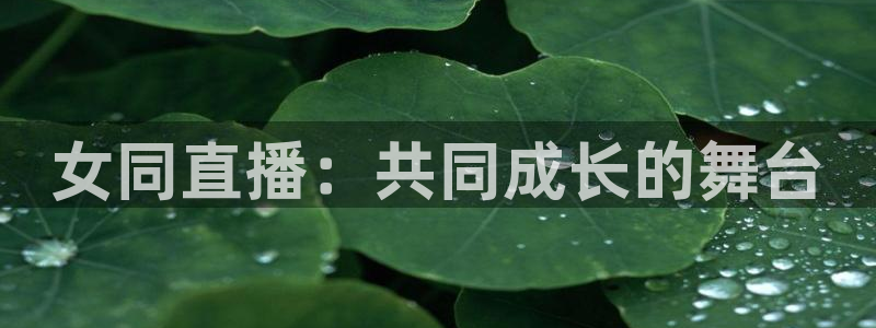 9255tv直播nba在线观看：女同直播：共同成长的舞台