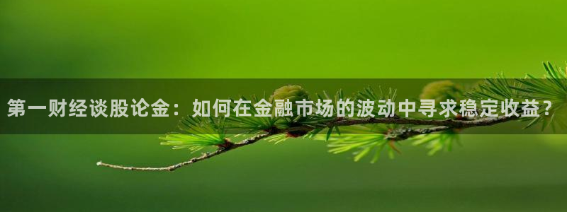 9255tv直播nba在线观看：第一财经谈股论金：如何在金融市场的波动中寻求稳定收益？