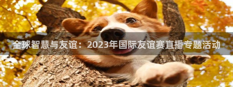 9255tv直播nba在线直播：全球智慧与友谊：2023年国际友谊赛直播专题活动