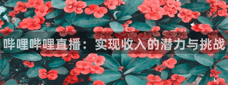 9255tv直播无插件nba：哔哩哔哩直播：实现收入的潜力与挑战