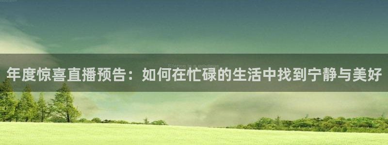 9255tv直播nba在线观看：年度惊喜直播预告：如何在忙碌的生活中找到宁静与美好