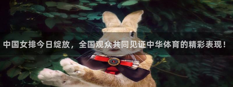 9255tv直播无插件nba：中国女排今日绽放，全国观众共同见证中华体育的精彩表现！